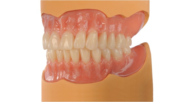 Denture modell Mondial